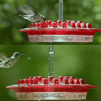 Hummingbird Feeder - Ant Proof Outdoor Garden Feeder