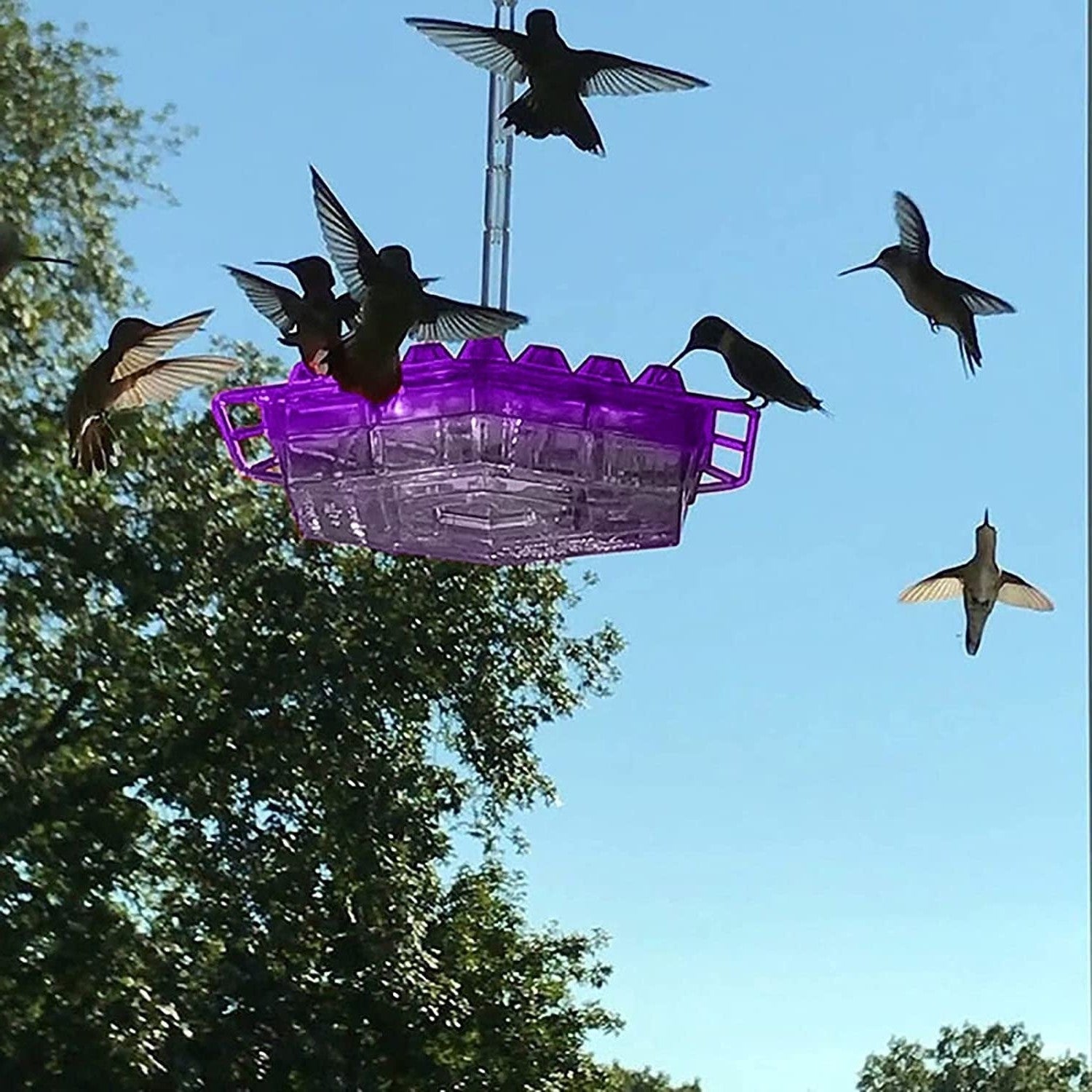 Hummingbird Feeder - Ant Proof Outdoor Garden Feeder