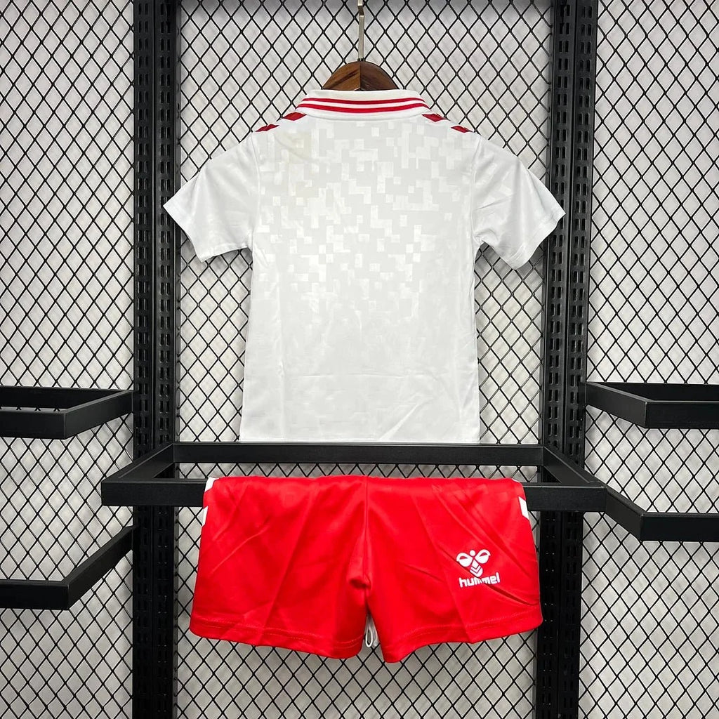 Denmark 2024 Away Jersey