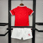 Denmark 2024 Home Jersey