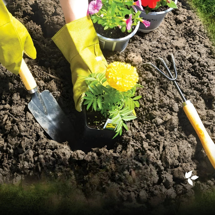 All-in-One Garden Tool Set Gardening Tools