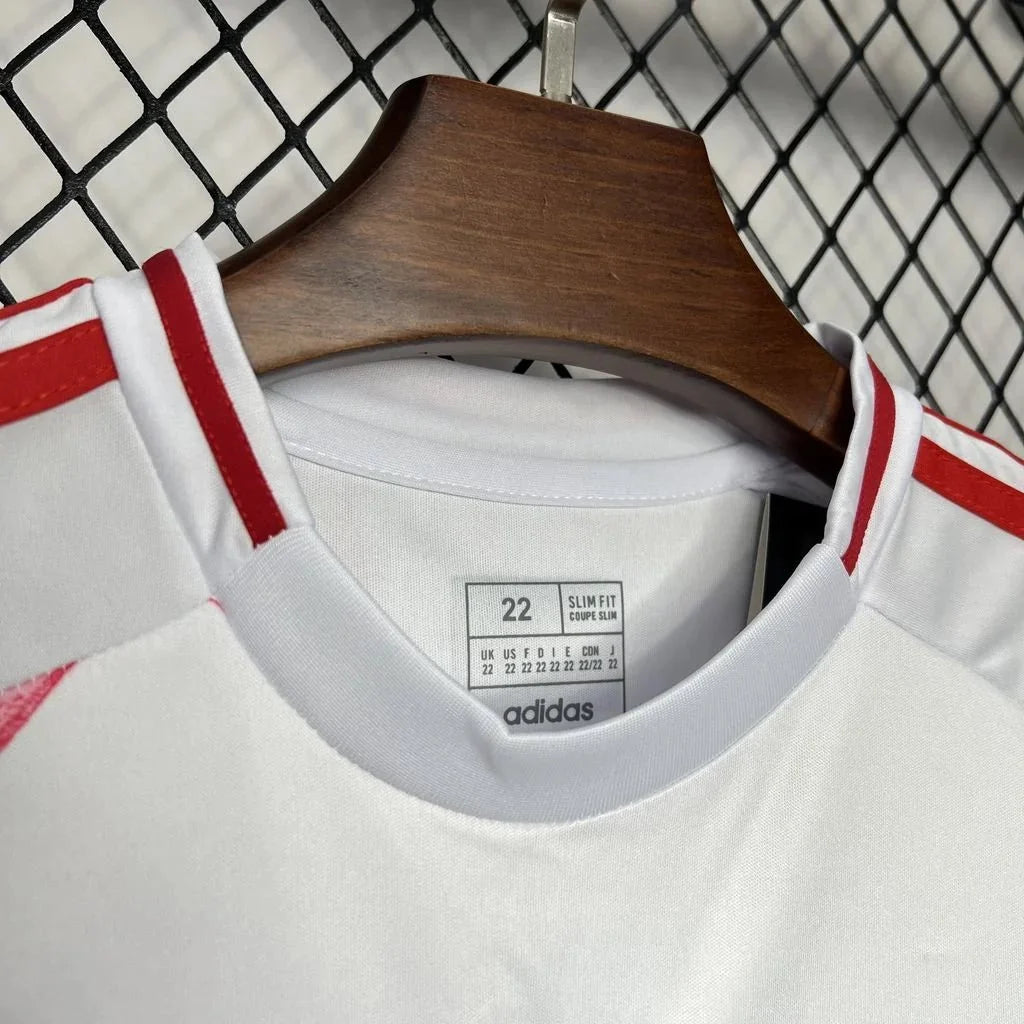 Japan 2024 Away Jersey