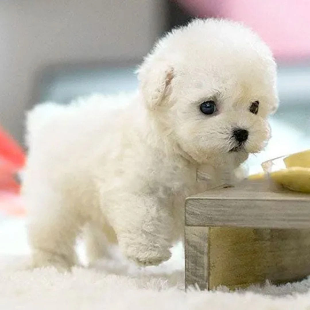 Robotic Puppy Toy - Interactive Pet Dog Kids