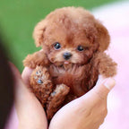 Robotic Puppy Toy - Interactive Pet Dog Kids