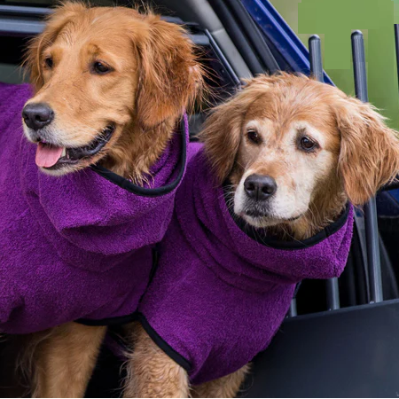 Pet Bathrobe for Dogs